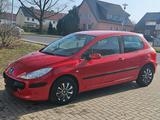 Peugeot 307 1,4 mit Neuen TÜV - Peugeot 307: 1.4