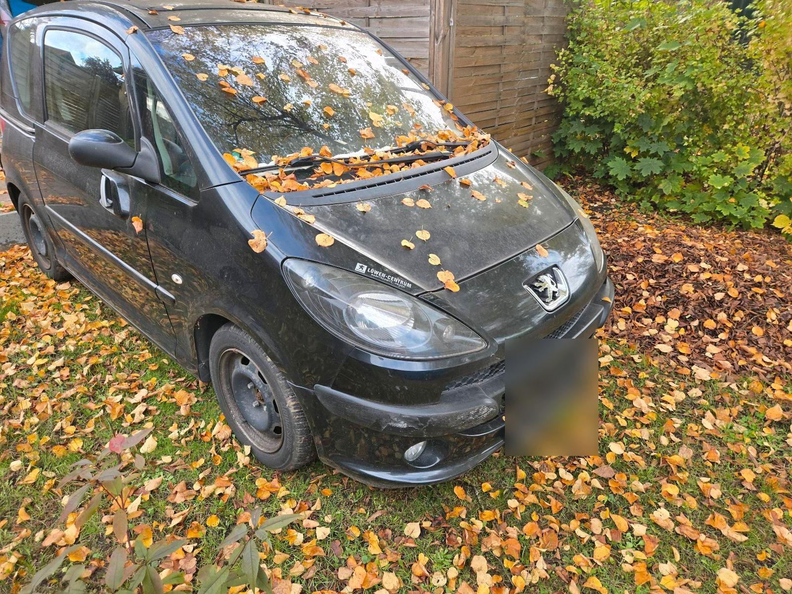 Peugeot 1007