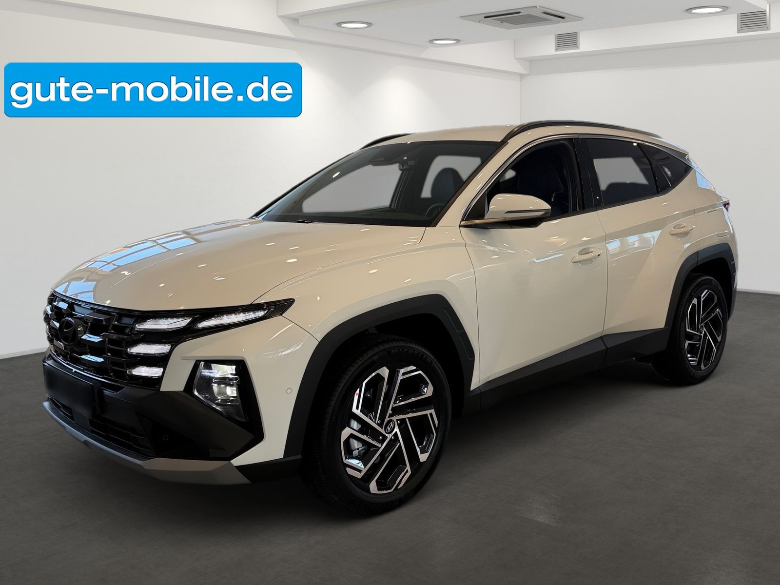 Hyundai Tucson Hybrid Prime Assistenz-Paket 