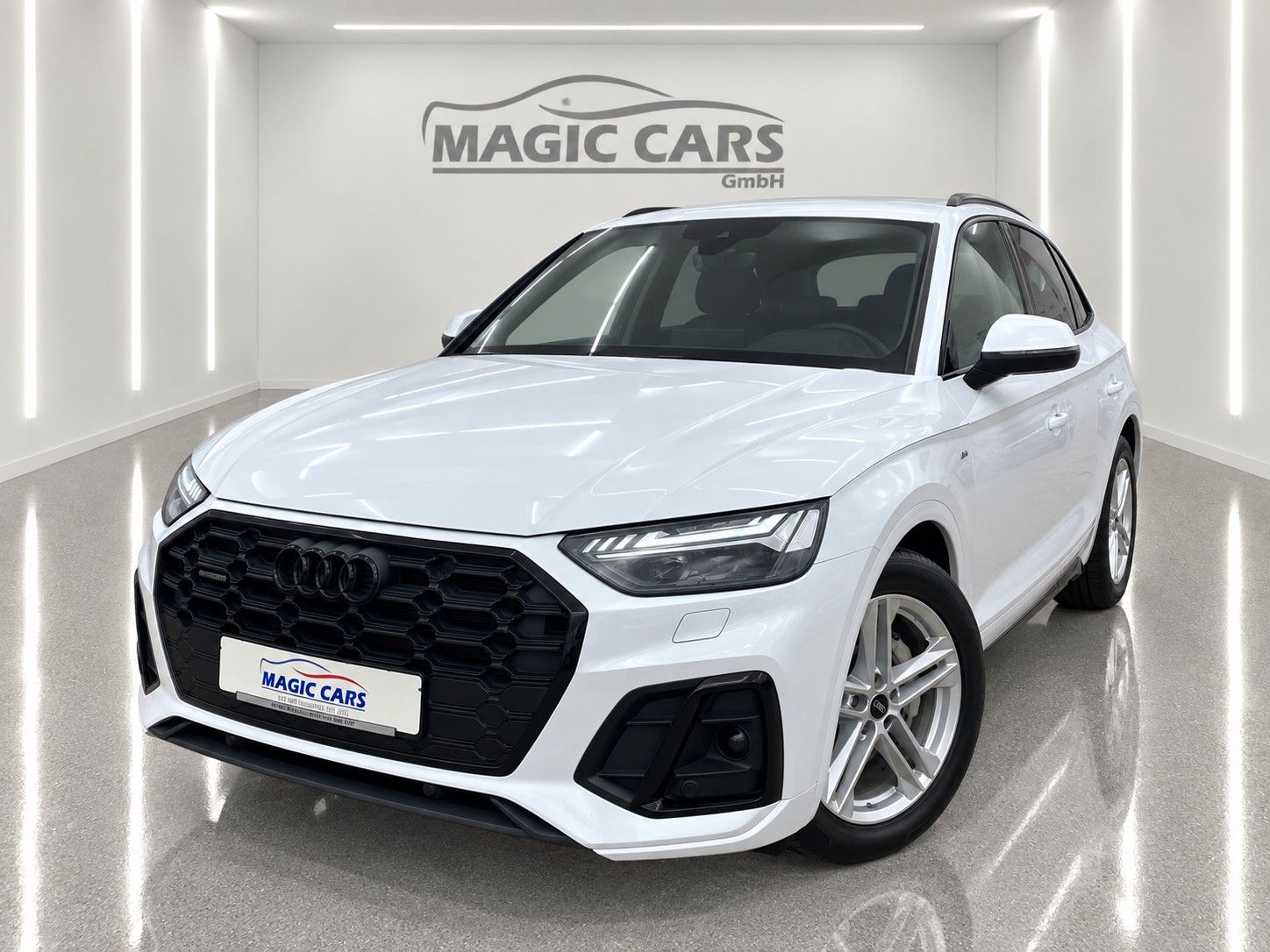 Audi Q5 50 TDI quattro S line Luftfederung Matrix AHK foto 1