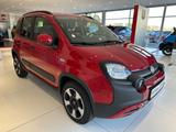 Fiat Panda Cross Red - Fiat Panda Vorführfahrzeuge