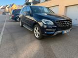 Mercedes-Benz ML 350 BlueTEC 4MATIC | Standheizu - Mercedes-Benz ML 350 Gebrauchtwagen in Stuttgart