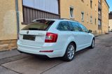 Skoda Octavia 2.0 TDI Green tec Ambition Combi Amb... - Skoda Octavia: Combi Tec