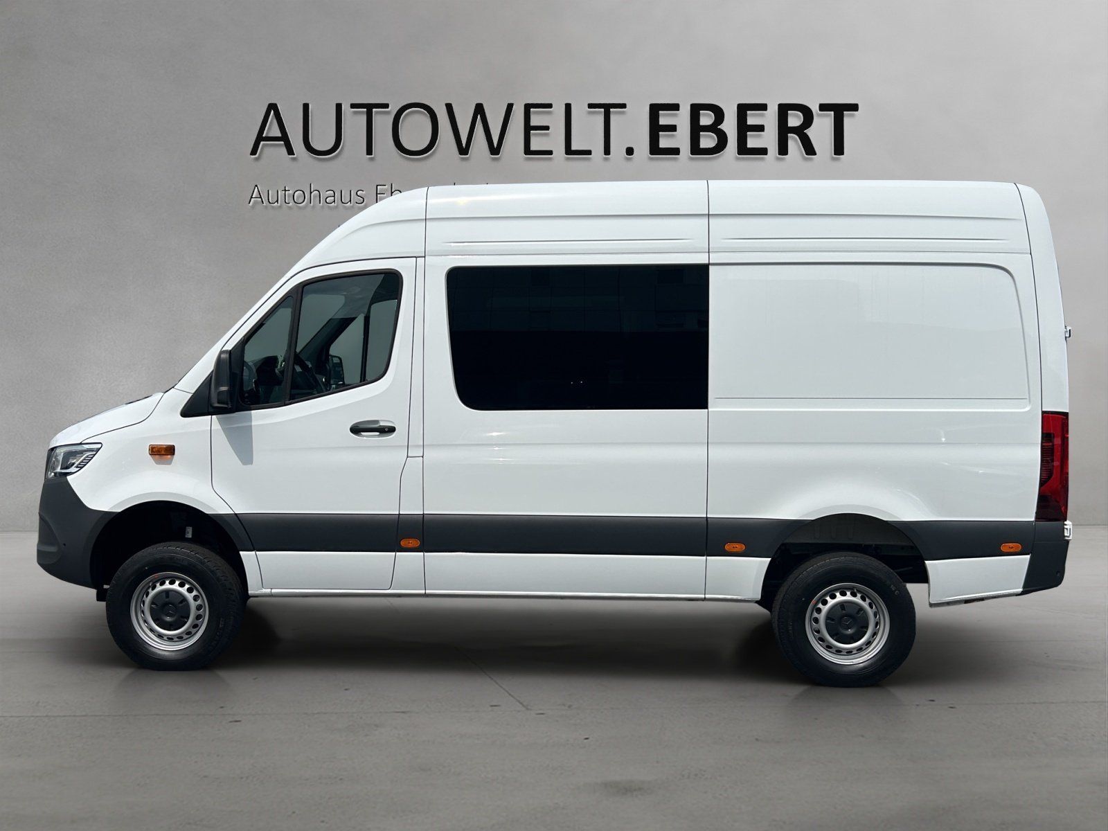 Fahrzeugabbildung Mercedes-Benz Sprinter319 Kasten/Mixto 4x4 PRO Hoch AHK Standh