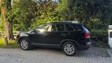 Kia Sorento 2.4 CVVT AWD Edition 7 Automatik Edi... - Kia Sorento Gebrauchtwagen in München