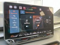 CUPRA Terramar 2.0 TSI DSG 4D VZ NAV HUD PANO 5J GAR bei Autohaus Landmann & Maier OHG