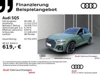 Audi SQ5 - Vorschau Bild 2