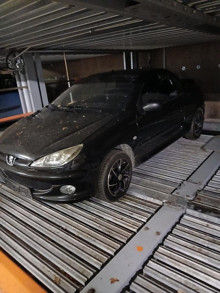 Peugeot 206