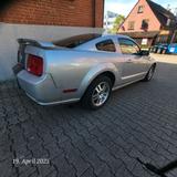 Ford Mustang V8   1.Hand - Ford Mustang Gebrauchtwagen in Stuttgart