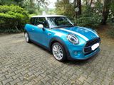 MINI Mini Cooper Electric Blue - MINI MINI aus 2016