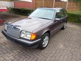Mercedes-Benz 300 TE 4 Matic - Mercedes-Benz 300 mit Benzin-Antrieb: Kombi, Te