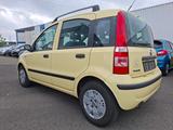 Fiat Panda 1.2 8V Dynamic, Klima, Servo, ZV, el.FH... - gebrauchte Fiat Panda aus dem Jahr 2008