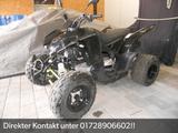 Aeon Cobra 420 SX LOF   1.Hand - AEON COBRA 420 SX