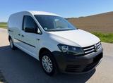 Volkswagen Caddy Maxi,2.Hand, TopZustand,Scheckheft, - VW Caddy Maxi in München