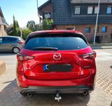 Mazda CX-5 2.5 e-SKYACTIV-G 194 Newground FWD AT N... - Mazda CX-5 Newground mit Benzin-Antrieb