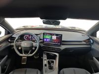 Cupra Terramar - Vorschau Bild 16