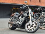 Harley-Davidson V-Rod Muscel  100 Jahre edition  - Offers matching your search criteria