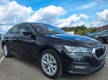 Skoda Octavia - 4