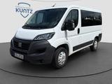 Fiat Ducato Luxusbus Panorama L1H1 8+SitzerCarplay - Fiat Ducato: Luxusbus Panorama