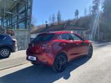 Mazda 2 90 PS Homura Kamera GARANTIE *Winterr.* - Mazda 2 aus 2023
