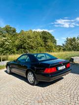 Mercedes-Benz SL 280 - Originalzustand - 73.000km - Deut. Fzg. - Mercedes-Benz SL 280: Cabrio