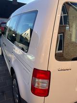 Volkswagen Caddy Life 1.4 Tramper erste Hand TÜV sehr gepfl - Volkswagen Caddy: Tramper