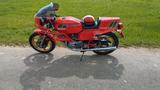 Ducati Pantah 600 SL - DUCATI 600