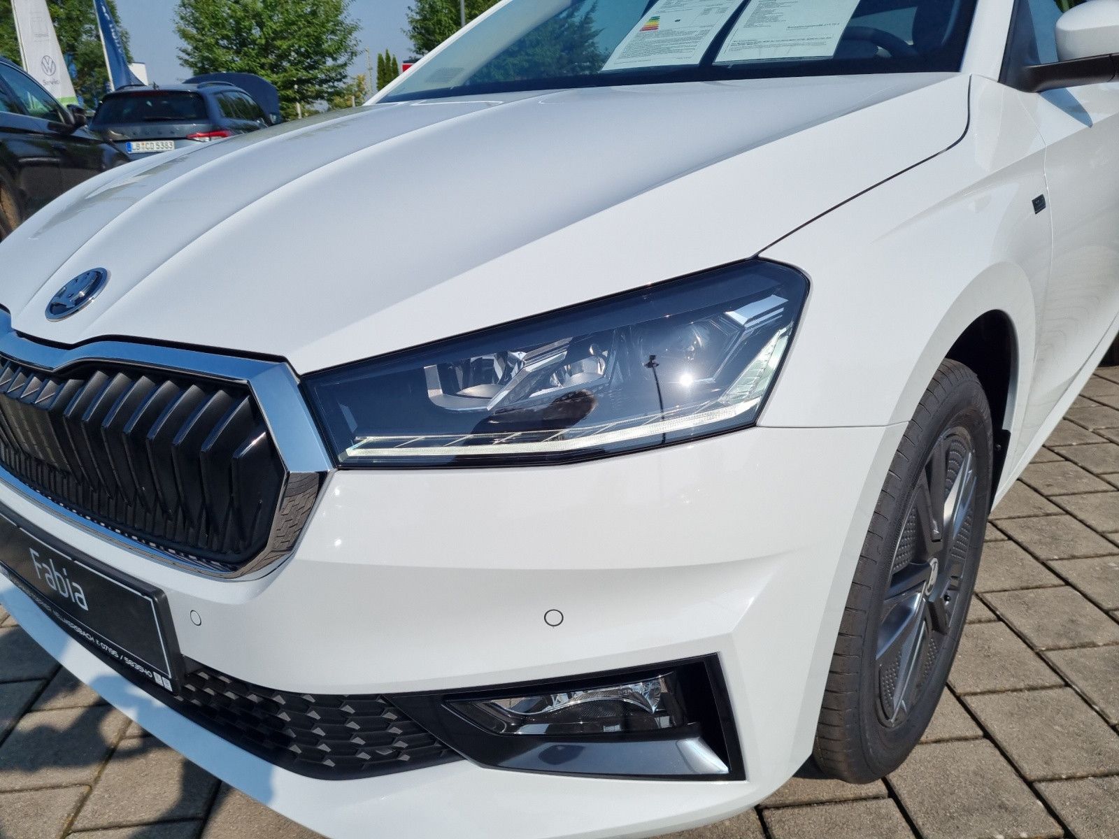 Fahrzeugabbildung SKODA Fabia Tour 1,0 TSI 85KW/115PS WINTER DesignLodge