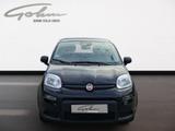 Fiat Panda Pandina Cross - Fiat Panda mit Hybrid-Antrieb