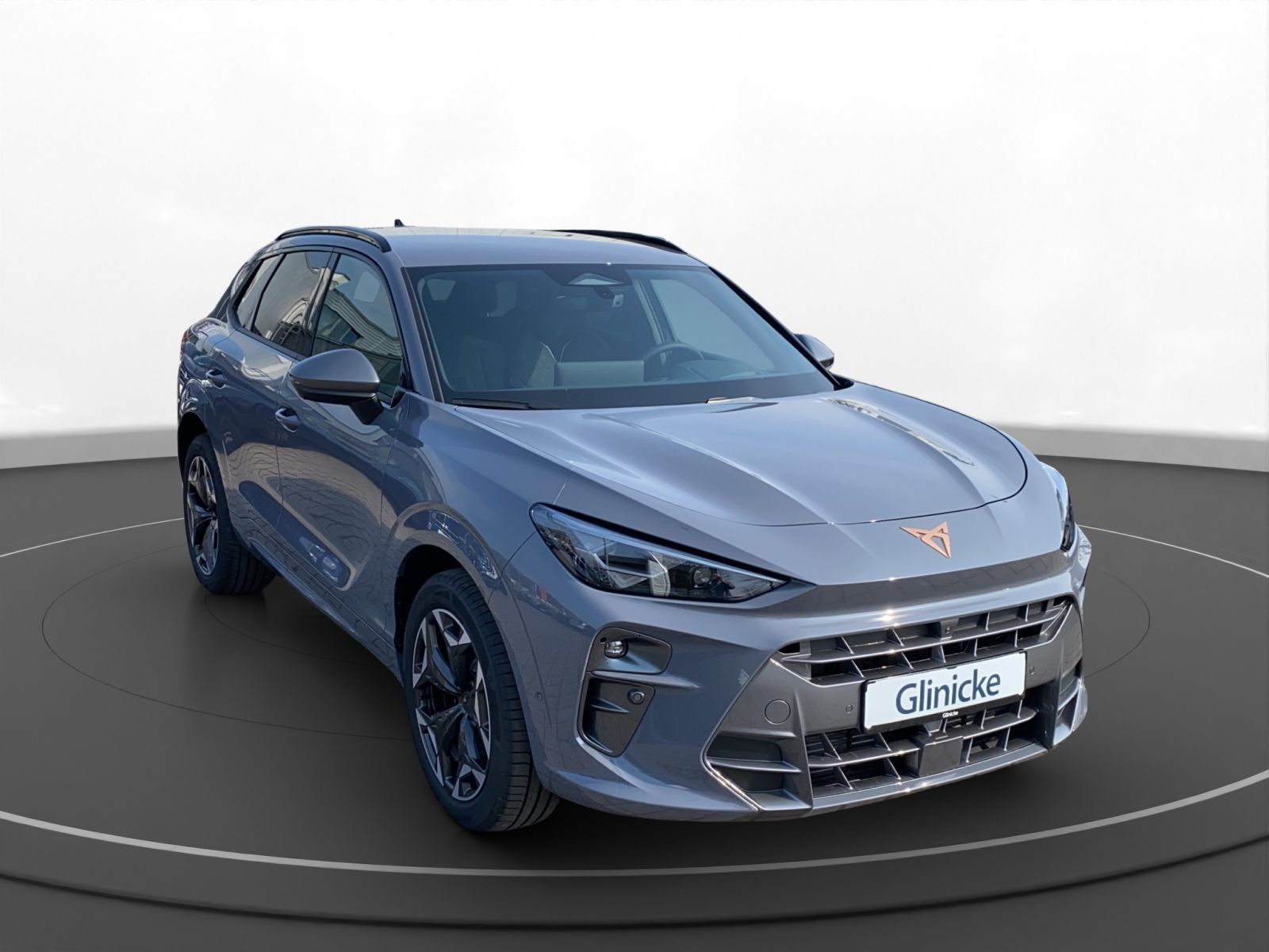 Cupra Terramar - Bild 10