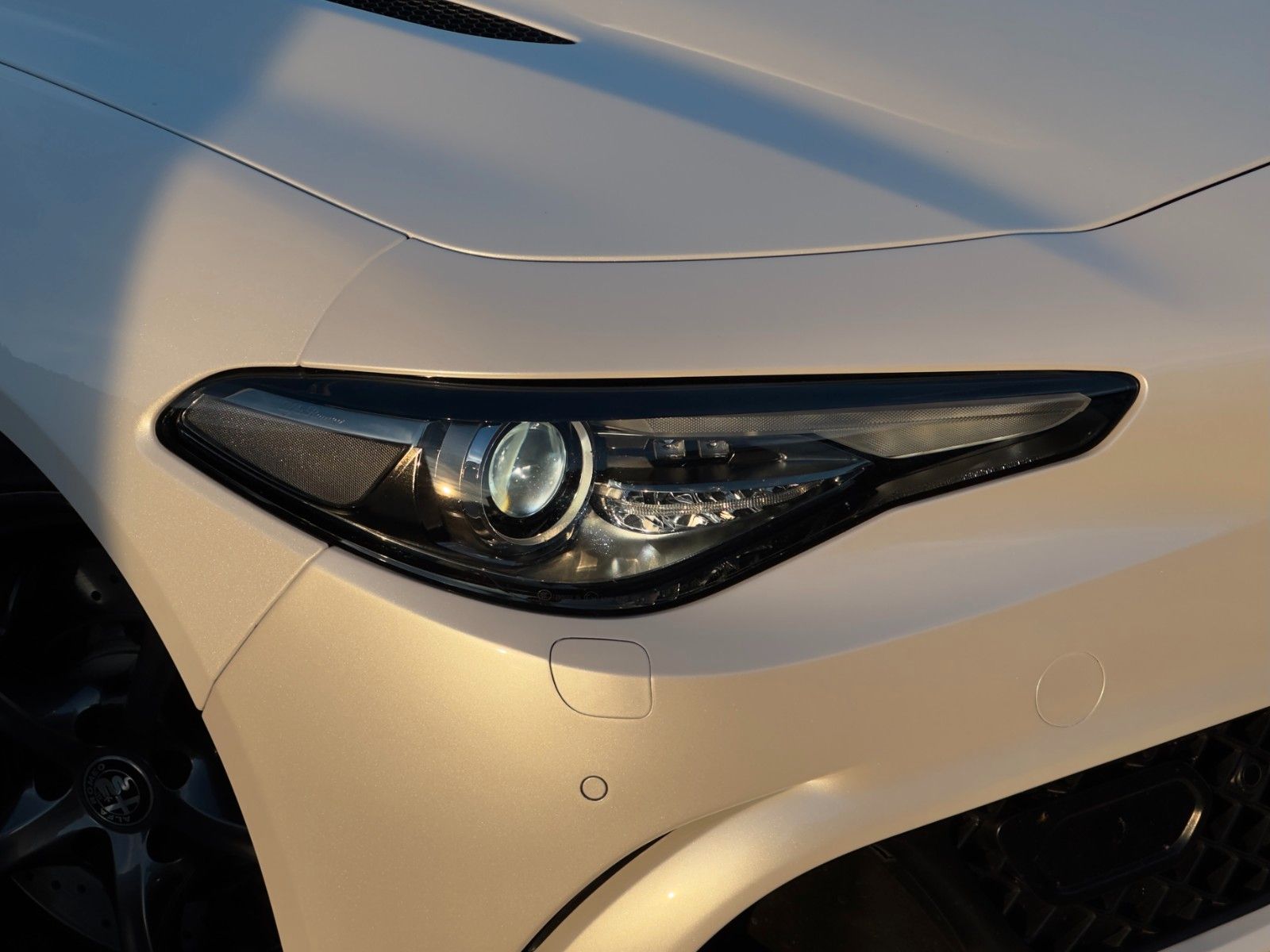 Fahrzeugabbildung Alfa Romeo Giulia Quadrif 2.9 510 Sparco Carbon Schale H&K