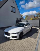 Jaguar XE P250 SE - Jaguar XE in Hamburg