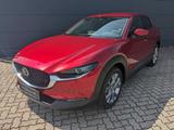 Mazda CX-30 2.5l (140PS) Centre-Line Design-Paket 2025 - Mazda CX-30: Centre Line