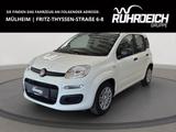 Fiat Pandina 1.0 48 kW Icon Digitales Cockpit DAB Spu - weiße Fiat New Panda