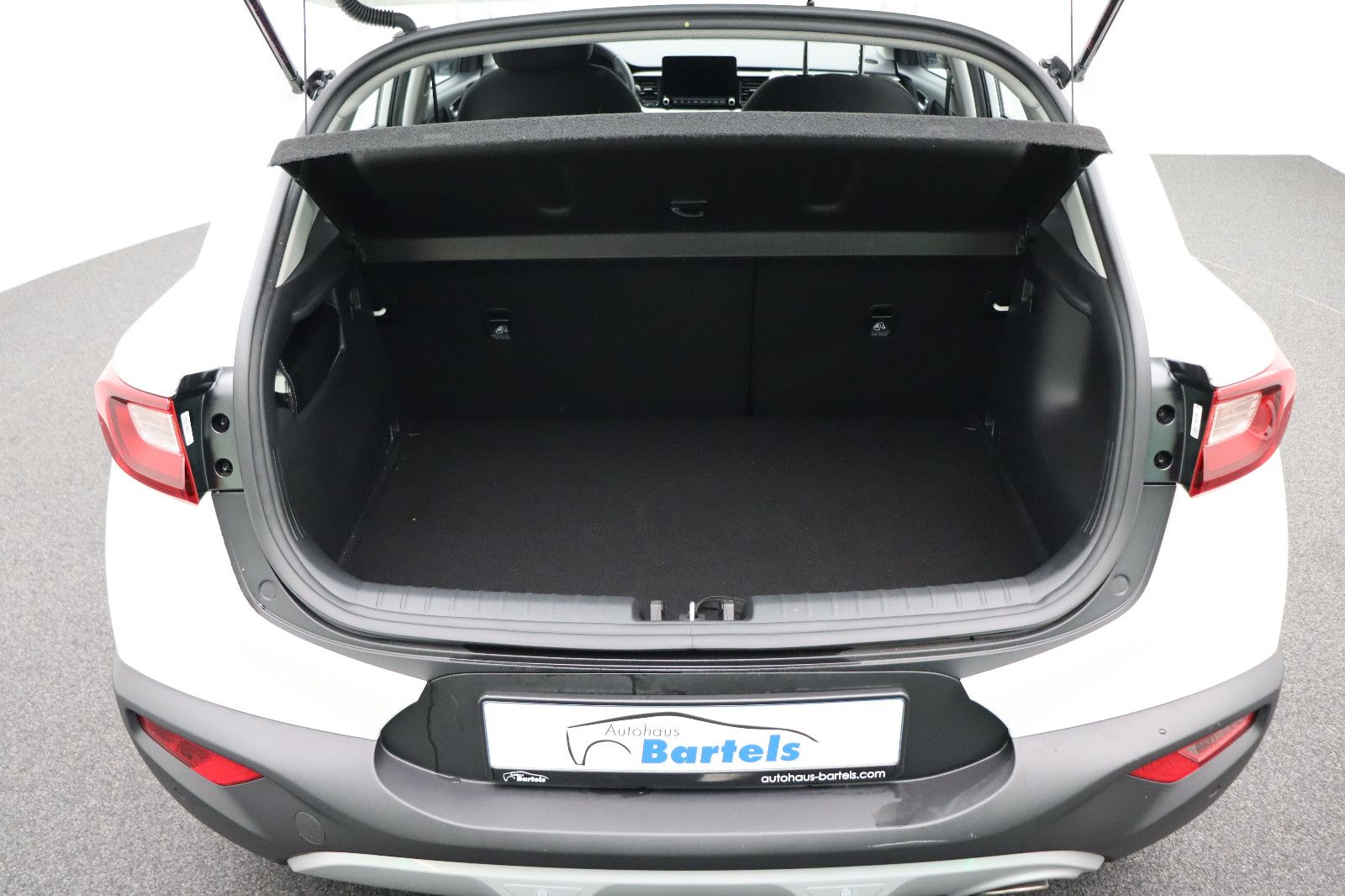 Fahrzeugabbildung Kia Stonic 1.2 Vision