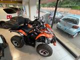 Arctic Cat 450 - ARCTIC CAT MOTORRAD