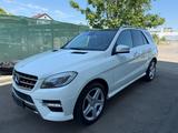 Mercedes-Benz ML 250 CDI BlueTec  AMG-Paket - Mercedes-Benz ML 250 aus 2013