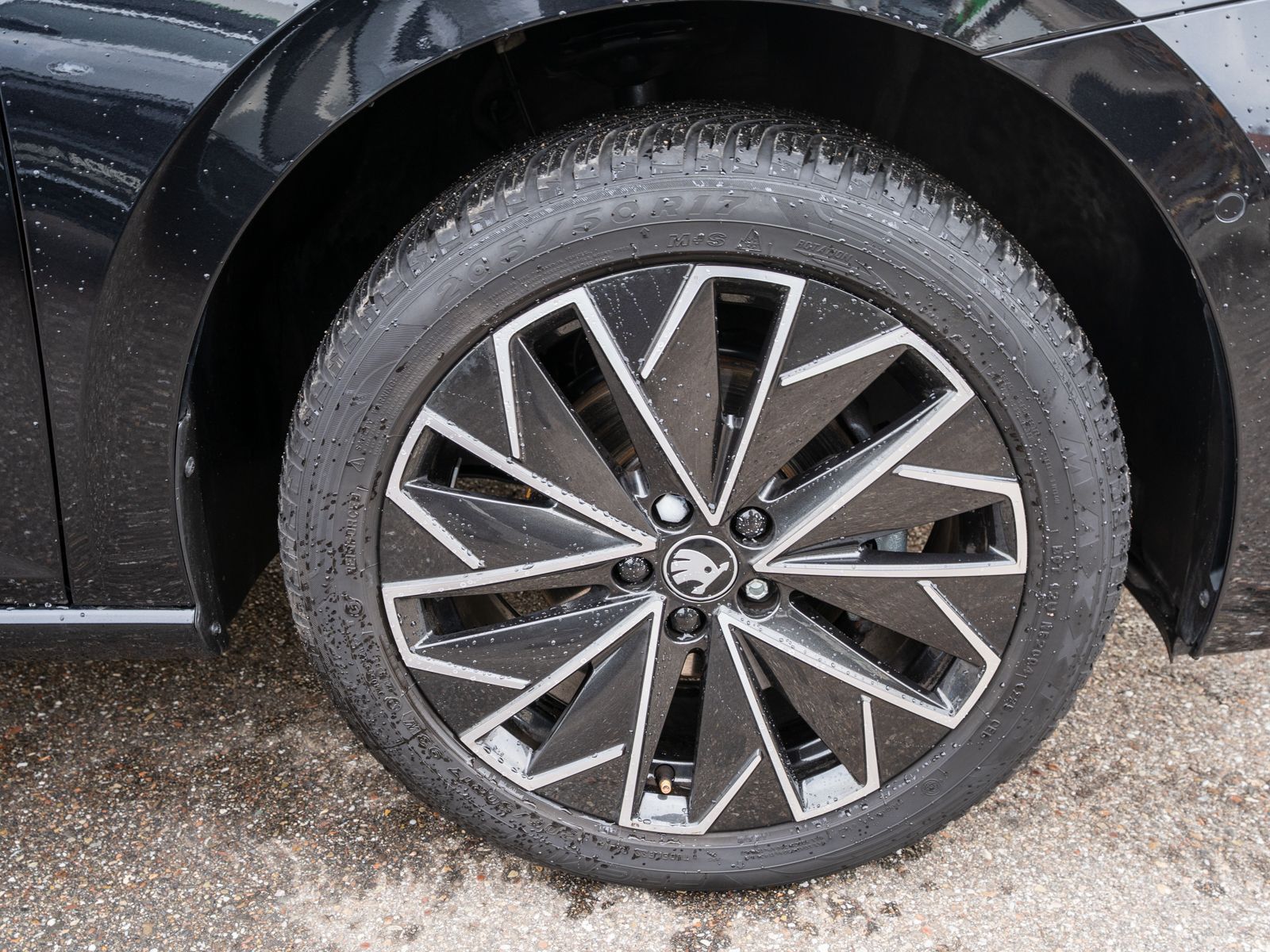 Skoda Scala - Bild 10