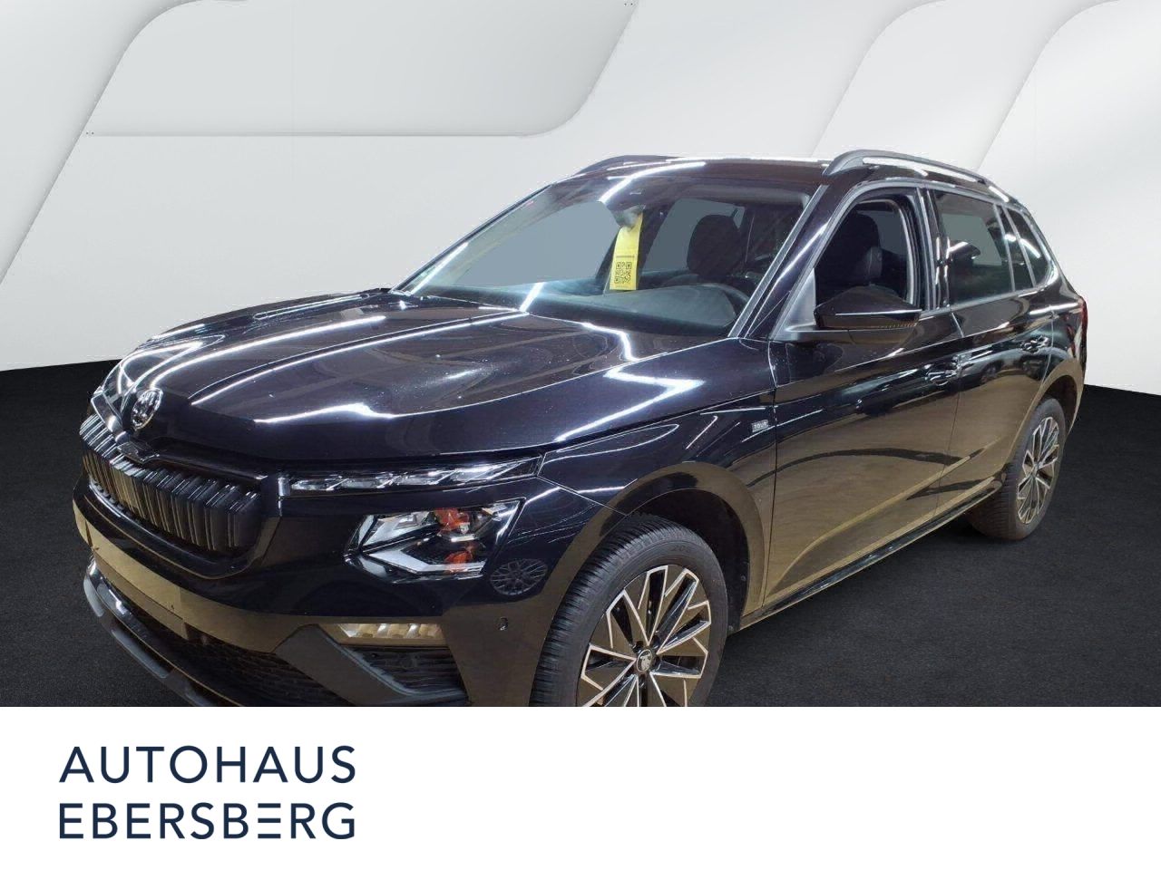 Skoda Kamiq Selection Tour 1.0 TSI Assist Navi App vir