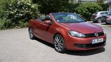 Volkswagen Golf 2.0 TDI Cabriolet in Topzustand - Volkswagen Golf mit Diesel-Antrieb: Cabrio