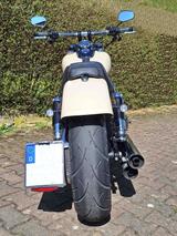 Harley-Davidson Dyna Fat Bob FXDF - Angebote