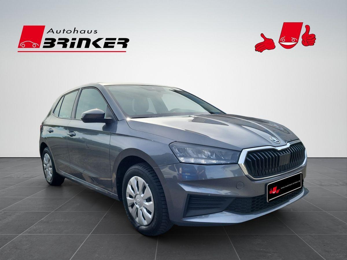 Skoda Fabia Activ 1.0 MPI SmartLink Klima Sitzhz LED