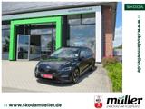 Skoda Octavia Combi RS 2.0TSI 180kW StHZ AHK RFK PLA - Skoda Octavia: 18 Tsi