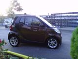 Smart 451 - Smart aus 2009: Cabrio
