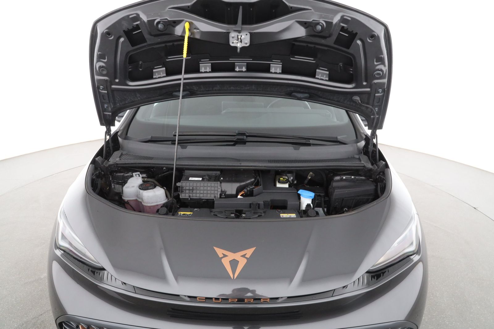 Cupra Born - Bild 9