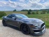 Ford Mustang GT V8, Schalter, Navi, SHZ, 55 Years - Ford Mustang Gebrauchtwagen in Augsburg