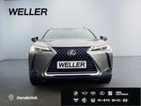 Lexus UX 250h Amazing Edition *Bi-LED*ACC*CAM*CarPlay* - Lexus UX aus 2020