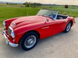Austin Healey 100/6