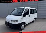 Fiat FIAT Ducato 9 posti 14 1.9 td diesel PM IVA ESPO - gebrauchte Fiat Ducato aus dem Jahr 1996