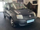 Fiat Panda 1.1 8V Active TÜV 12/27 - Fiat Panda: Kombi